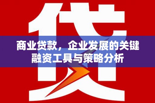 顺平商业贷款，企业发展的关键融资工具与策略分析