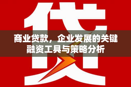 顺平商业贷款，企业发展的关键融资工具与策略分析