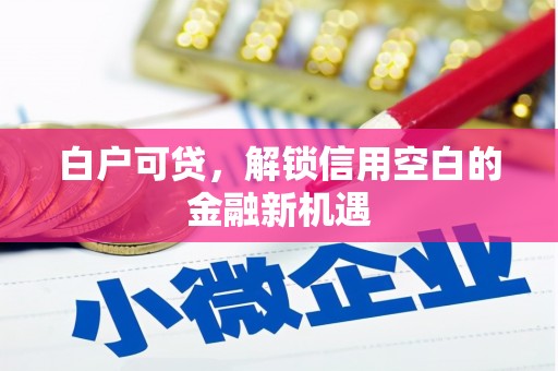 顺平白户可贷，解锁信用空白的金融新机遇