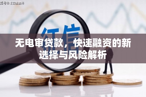 顺平无电审贷款，快速融资的新选择与风险解析
