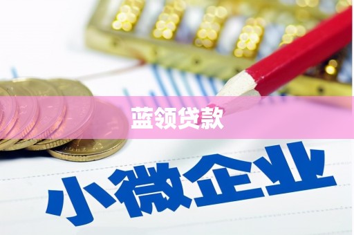 顺平蓝领贷款