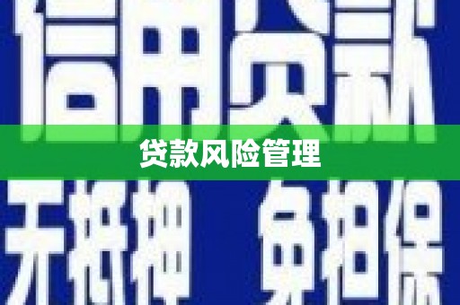 顺平贷款风险管理