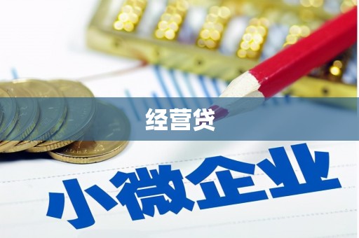 顺平经营贷