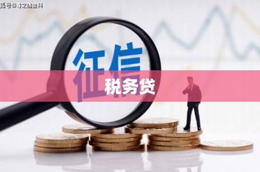 顺平税务贷