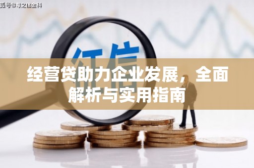 顺平经营贷助力企业发展，全面解析与实用指南
