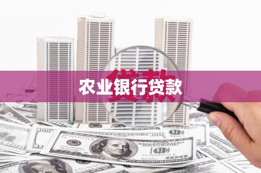 顺平农业银行贷款