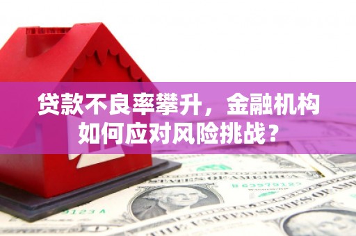 顺平贷款不良率攀升，金融机构如何应对风险挑战？