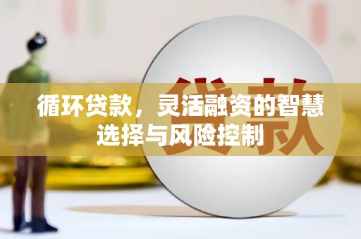 顺平循环贷款，灵活融资的智慧选择与风险控制