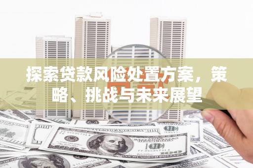 顺平探索贷款风险处置方案，策略、挑战与未来展望