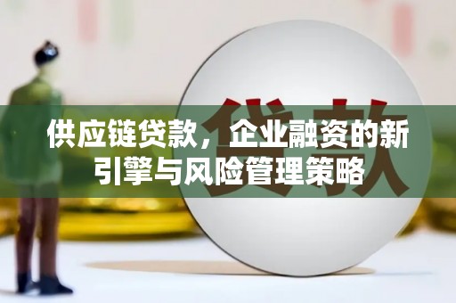 顺平供应链贷款，企业融资的新引擎与风险管理策略
