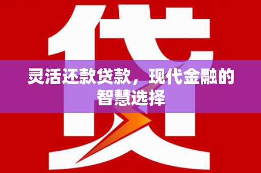 顺平灵活还款贷款，现代金融的智慧选择