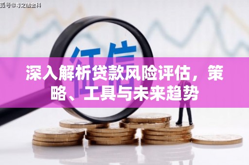 顺平深入解析贷款风险评估，策略、工具与未来趋势