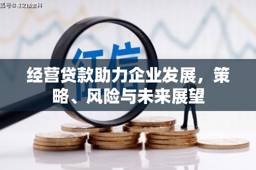顺平经营贷款助力企业发展，策略、风险与未来展望
