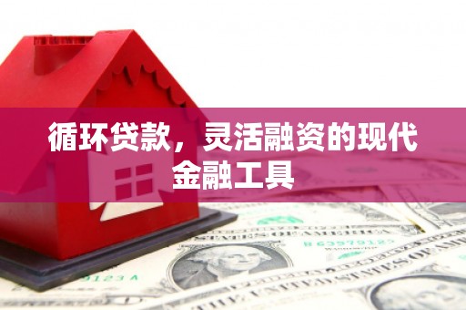 顺平循环贷款，灵活融资的现代金融工具
