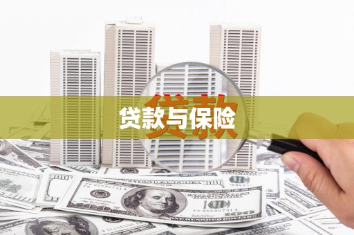 顺平贷款与保险