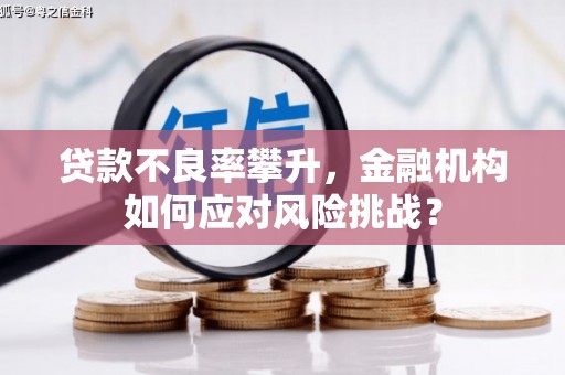 顺平贷款不良率攀升，金融机构如何应对风险挑战？