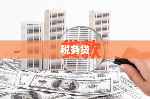 顺平税务贷