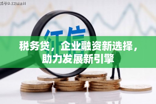 顺平税务贷，企业融资新选择，助力发展新引擎