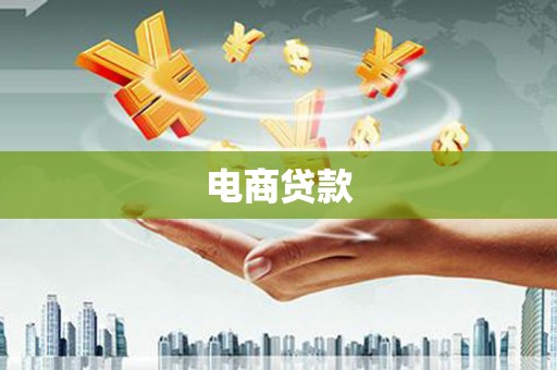 顺平电商贷款