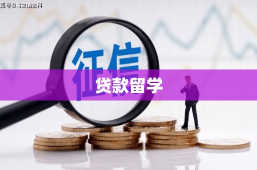 顺平贷款留学