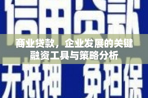 顺平商业贷款，企业发展的关键融资工具与策略分析