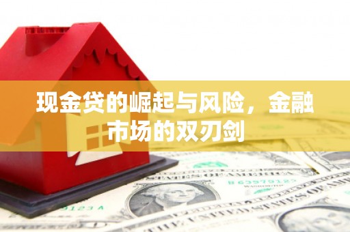 顺平现金贷的崛起与风险，金融市场的双刃剑