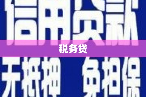 顺平税务贷
