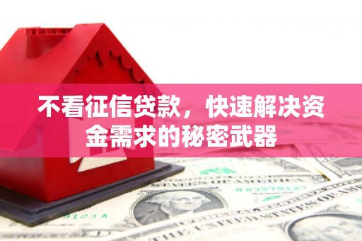 顺平不看征信贷款，快速解决资金需求的秘密武器
