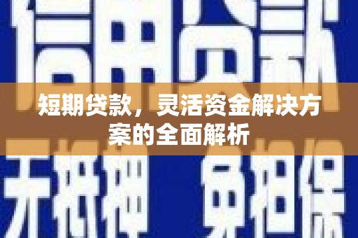 顺平短期贷款，灵活资金解决方案的全面解析