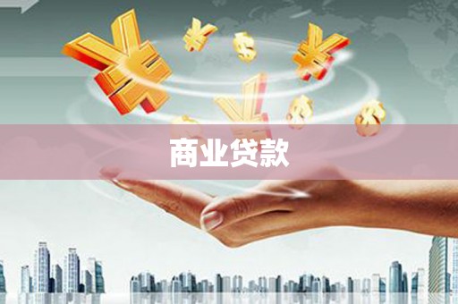 顺平商业贷款