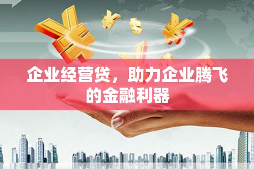 顺平企业经营贷，助力企业腾飞的金融利器