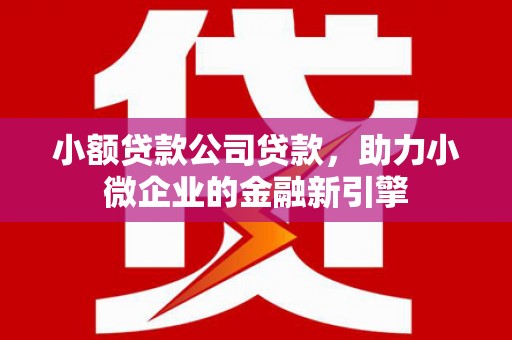 顺平小额贷款公司贷款，助力小微企业的金融新引擎