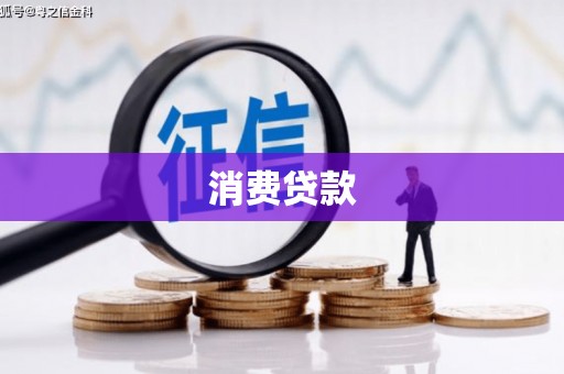 顺平消费贷款