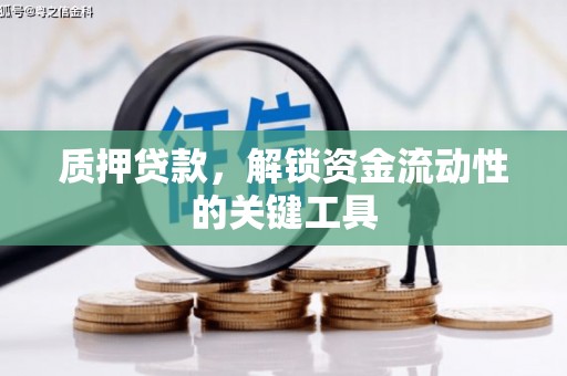 顺平质押贷款，解锁资金流动性的关键工具