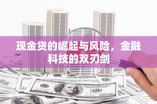 顺平现金贷的崛起与风险，金融科技的双刃剑