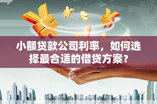 顺平小额贷款公司利率，如何选择最合适的借贷方案？
