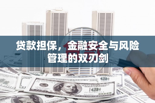 顺平贷款担保，金融安全与风险管理的双刃剑