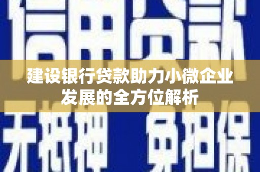 顺平建设银行贷款助力小微企业发展的全方位解析