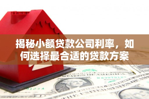 顺平揭秘小额贷款公司利率，如何选择最合适的贷款方案