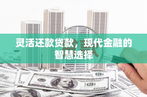 顺平灵活还款贷款，现代金融的智慧选择