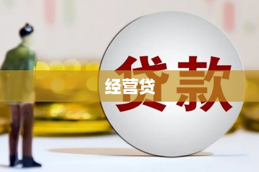 顺平经营贷