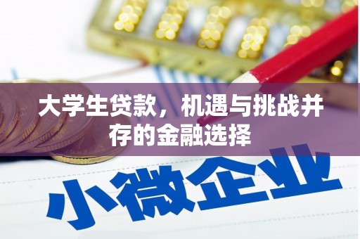 顺平大学生贷款，机遇与挑战并存的金融选择