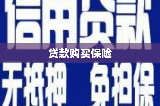 顺平贷款购买保险