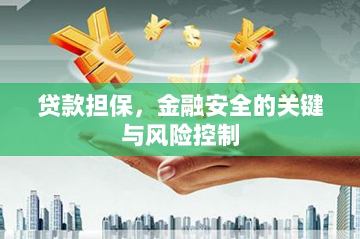顺平贷款担保，金融安全的关键与风险控制