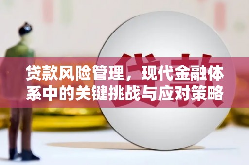 顺平贷款风险管理，现代金融体系中的关键挑战与应对策略