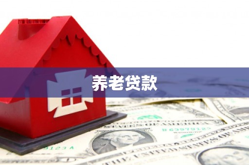 顺平养老贷款