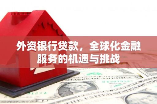 顺平外资银行贷款，全球化金融服务的机遇与挑战