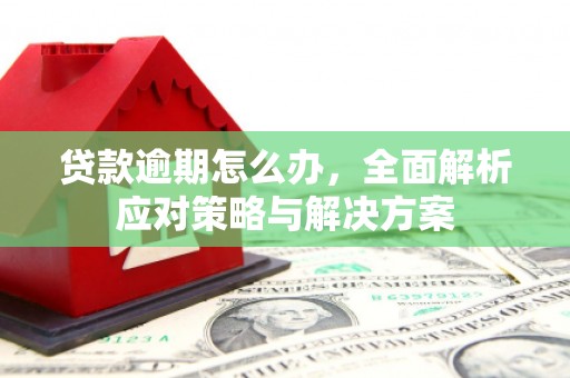 顺平贷款逾期怎么办，全面解析应对策略与解决方案