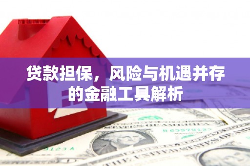顺平贷款担保，风险与机遇并存的金融工具解析
