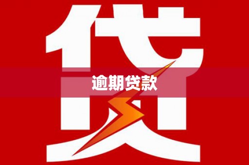 顺平逾期贷款